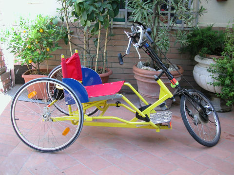 bicicarrozzina per disabile