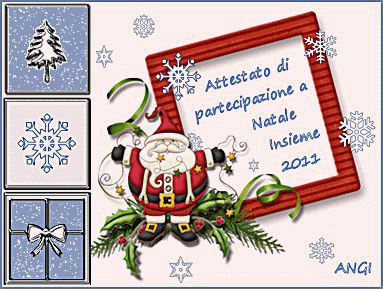 Attestato di partecipazione a Natale Insieme 2011